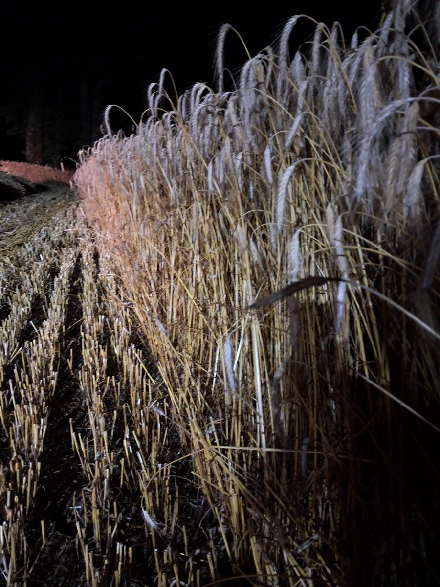 Vinel Benoit tweet media