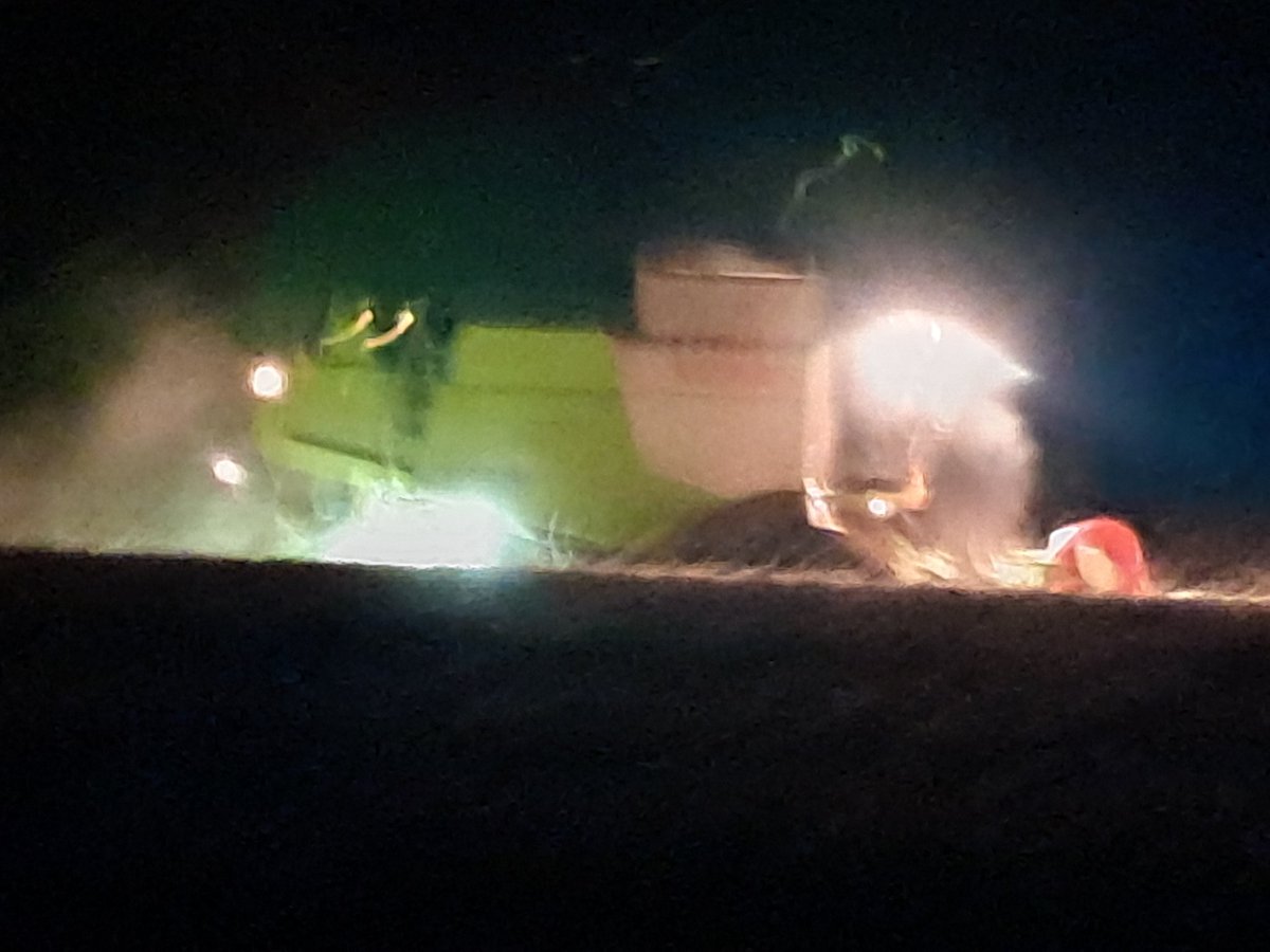 Clap de fin pour la moisson 2025 . On éteindra les moteurs bien tard . 
En espérant que tout ce travail ne finira pas dans l’assiette de <a href="/sandrousseau/">Sandrine Rousseau</a> qui n’en a rien à battre de notre rentabilité . 
Ce qui est certain , c’est qu’elle ne sait pas de quoi elle parle .