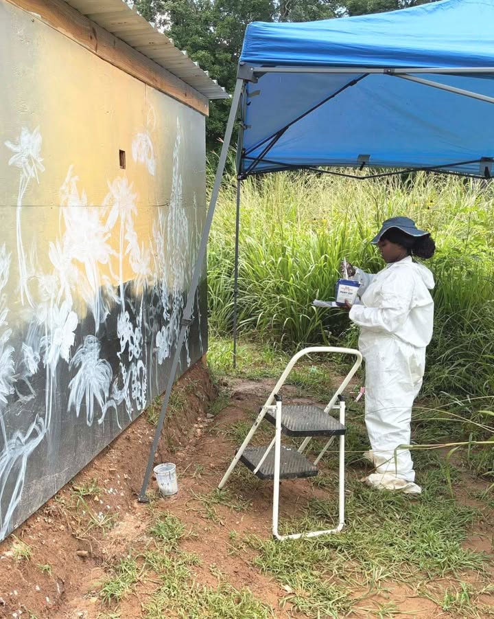 Talented art major Monique Coleman is powering through the Texas heat to bring a beautiful mural to life at the Pineywoods Native Plant Center’s bee observatory! 🐝🌸🌿 We’re buzzing to see the finished masterpiece! 💜🎨 #SFAStudentSpotlight #SFAFineArts #BeautifulDayAtSFA ☀️