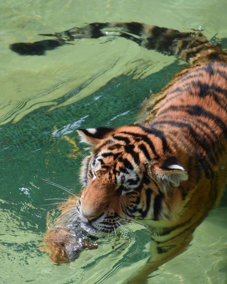 sonertatilde (@sonertatilde) on Twitter photo 