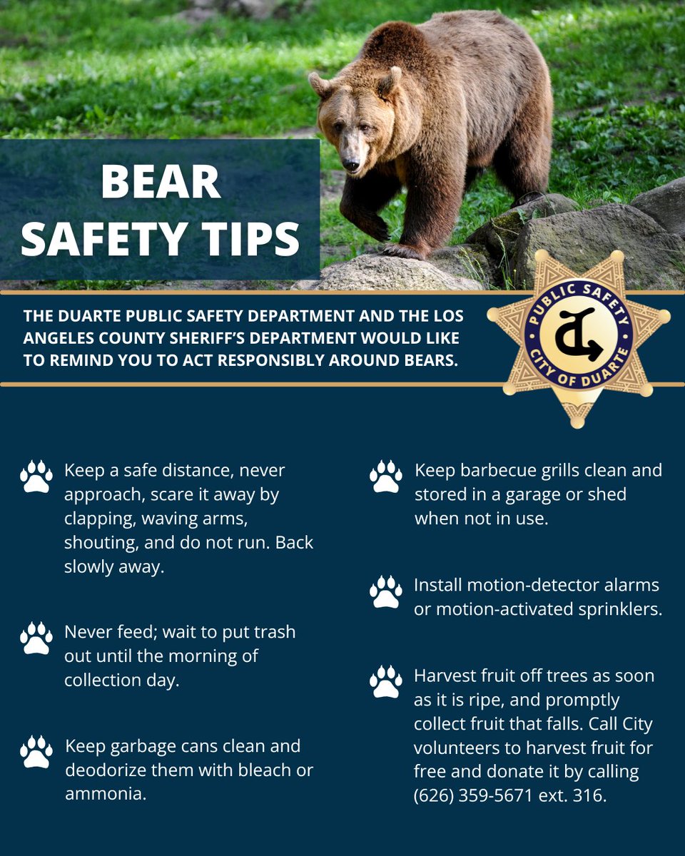 🐻 Bear Sightings in Duarte? Stay Safe &amp; Know What to Do!

As our furry neighbors wander closer to homes, it's important to stay Bear Aware. Never approach a bear, secure your trash, and remove food sources from your yard.

📞 If you spot a bear, call the Duarte Public Safety