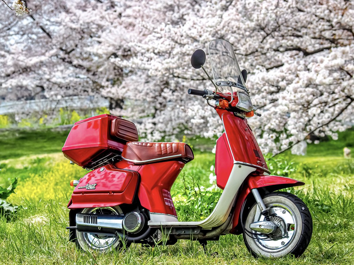 コージ (@NakedKouji) / X