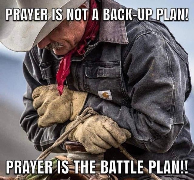 Shelly (@mcain1954) on Twitter photo Wed #BuddyChecksMatter Veterans ๐ซก๐บ๐ฒ๐ค
#Turn22To0 #EndVeteranSuicide ๐๐๐๐
#PTSDWARRIORSTRONG #JustListenโญ๏ธโ๏ธ๐๐โ๏ธ๐ช
โก๏ธ<a href="/EdColon14/">Ed Colon 14</a>โญ๏ธ๐ช๐บ๐ธ
โก๏ธ<a href="/DaleHarrell16/">Dale Harrell</a>โญ๏ธ๐ช๐บ๐ธ
โก๏ธ<a href="/JoeyJAC02496304/">Max of Texas</a>โญ๏ธ๐ช๐บ๐ธ
โก๏ธ<a href="/JoeBett97057451/">Joe Bettencourt</a>โญ๏ธ๐ช๐บ๐ธ
โก๏ธ<a href="/GALandaker1/">G A Landaker</a>โญ๏ธ๐ช๐บ๐ธ
โก๏ธ<a href="/CoryJac86602759/">CCJake</a>โญ๏ธ๐ช๐บ๐ธ
โก๏ธ<a href="/dlbs61/">Denny Pounds</a>โญ๏ธ๐ช๐บ๐ธ Wed #BuddyChecksMatter Veterans ๐ซก๐บ๐ฒ๐ค
#Turn22To0 #EndVeteranSuicide ๐๐๐๐
#PTSDWARRIORSTRONG #JustListenโญ๏ธโ๏ธ๐๐โ๏ธ๐ช
โก๏ธ<a href="/EdColon14/">Ed Colon 14</a>โญ๏ธ๐ช๐บ๐ธ
โก๏ธ<a href="/DaleHarrell16/">Dale Harrell</a>โญ๏ธ๐ช๐บ๐ธ
โก๏ธ<a href="/JoeyJAC02496304/">Max of Texas</a>โญ๏ธ๐ช๐บ๐ธ
โก๏ธ<a href="/JoeBett97057451/">Joe Bettencourt</a>โญ๏ธ๐ช๐บ๐ธ
โก๏ธ<a href="/GALandaker1/">G A Landaker</a>โญ๏ธ๐ช๐บ๐ธ
โก๏ธ<a href="/CoryJac86602759/">CCJake</a>โญ๏ธ๐ช๐บ๐ธ
โก๏ธ<a href="/dlbs61/">Denny Pounds</a>โญ๏ธ๐ช๐บ๐ธ