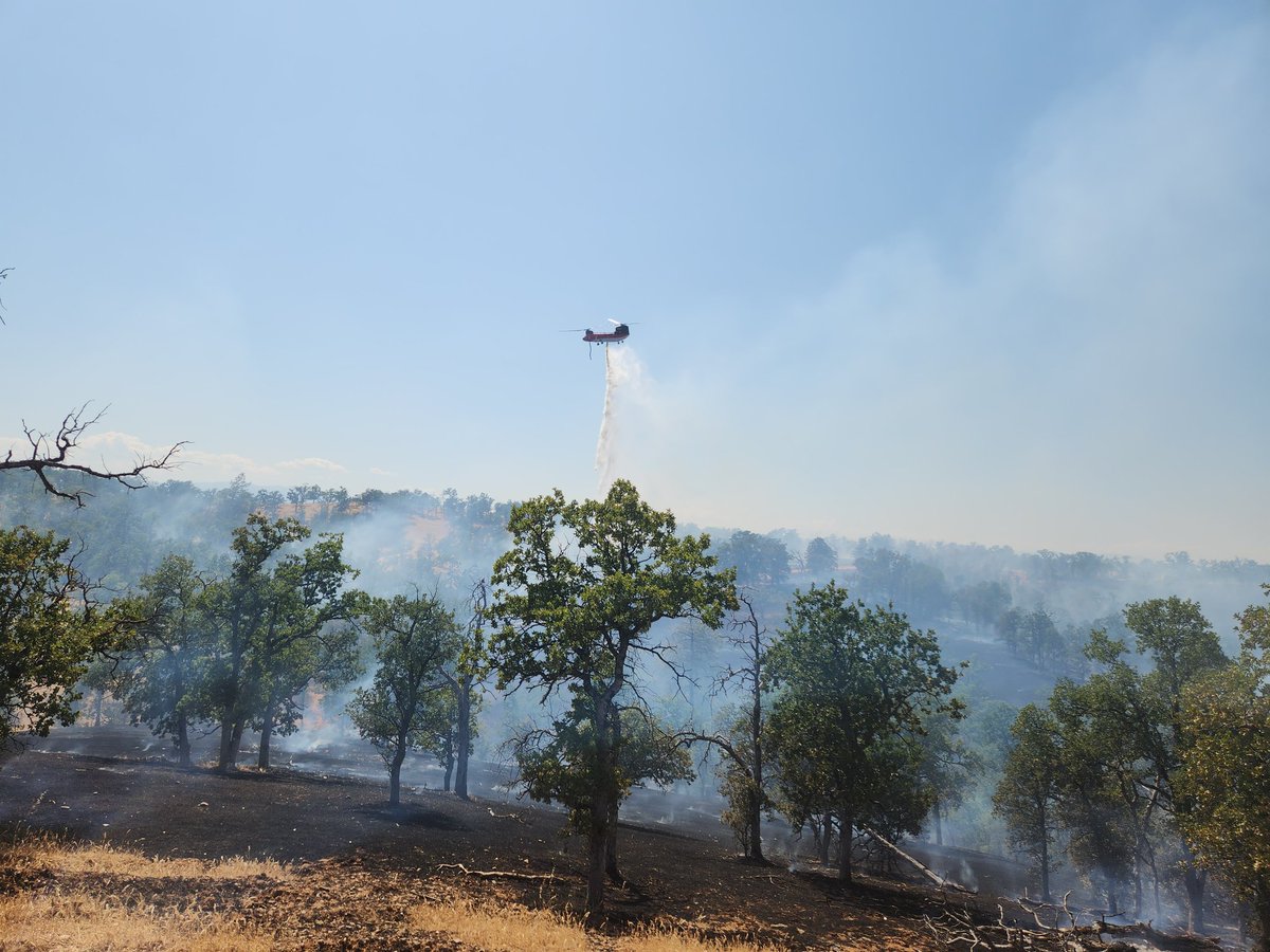 CALFIRETGU's tweet image. CAL FIRE Tehama-Glenn Unit and Tehama County Fire Department are at scene of a 15 acre vegetation fire on Frank Ball Rd X Hwy 36W in the Baker area. Forward progress stopped. Crews are making good progress. #BakerFire #CALFIRETGU2025