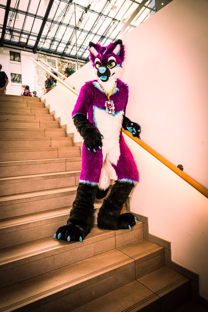 It's all "downhill" from here 😋

📸 <a href="/Ryidergon/">Ryius @NFC🚵‍♂️</a>