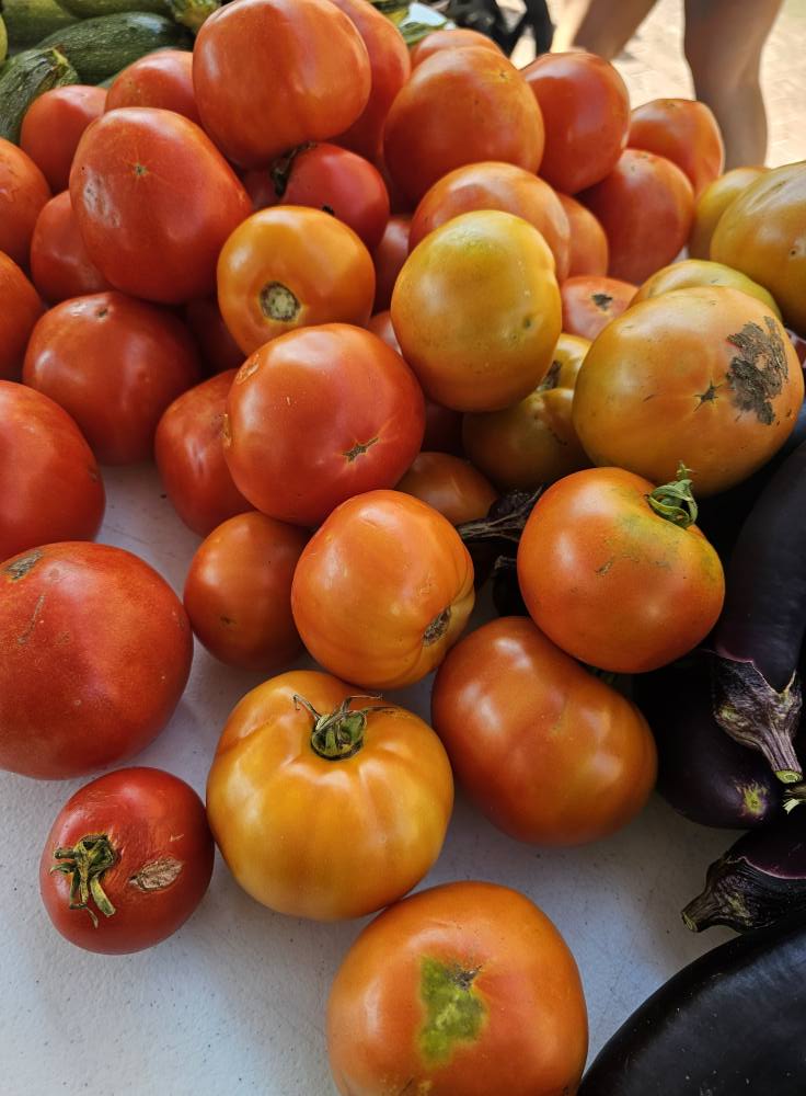 A3: #SmallTownTourismChat

When it comes to local flavor, we love a farm-to-fork restaurant, and no one does it quite like Christine's Farm to Fork in Edgefield, SC!