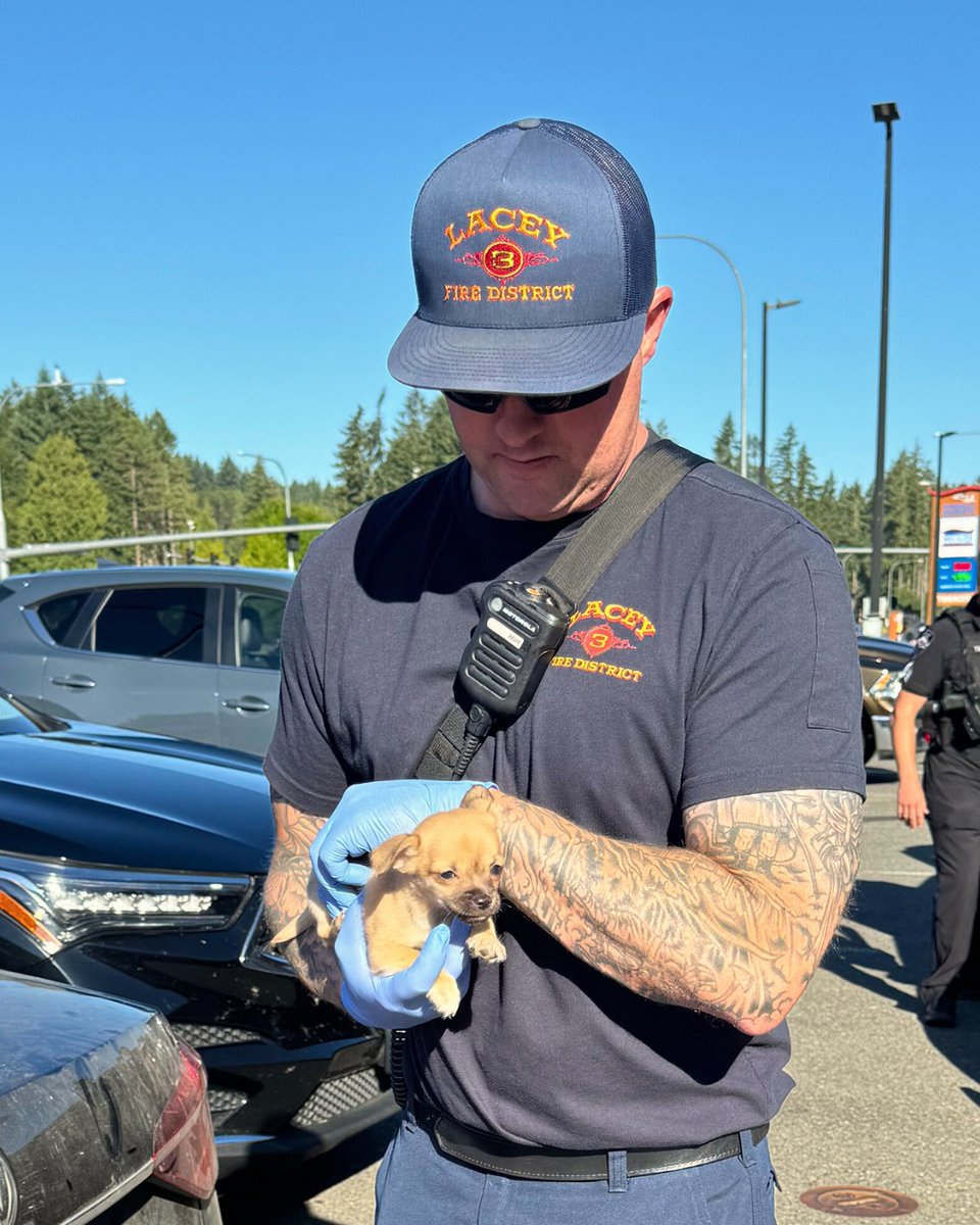 GOOD NEWS ALERT: Firefighters in Lacey, Washington revived an unresponsive pup with Narcan during a traffic stop where fentanyl was present.