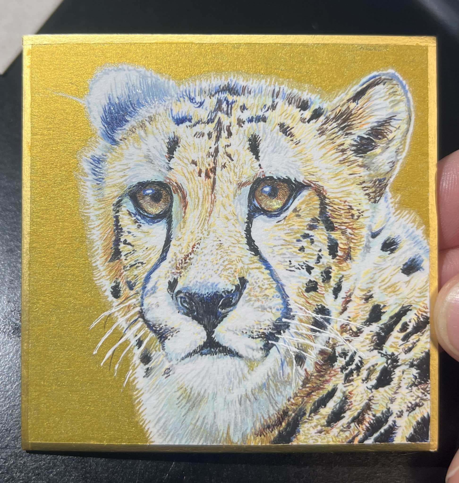 磯野キャビア ボールペン画集ZOO 画集が発売しました。 – アトリエZOO