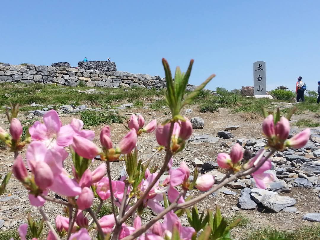 지혜로운 자는 생각하고
의로운 자는 행동하고
어진자는 지키고