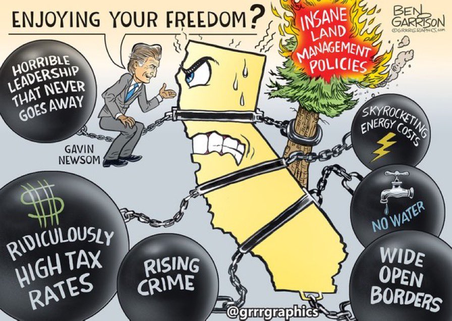 Frisky_gaijing's tweet image. We American citizens live in fear daily too.
I fear ending up like Laken Riley. Raped and slaughtered by your beloved illegal alien scumbag.
I fear the South American thieving gangs who have been breaking into homes in Los Angeles and murdering the occupants.
I fear we will…
