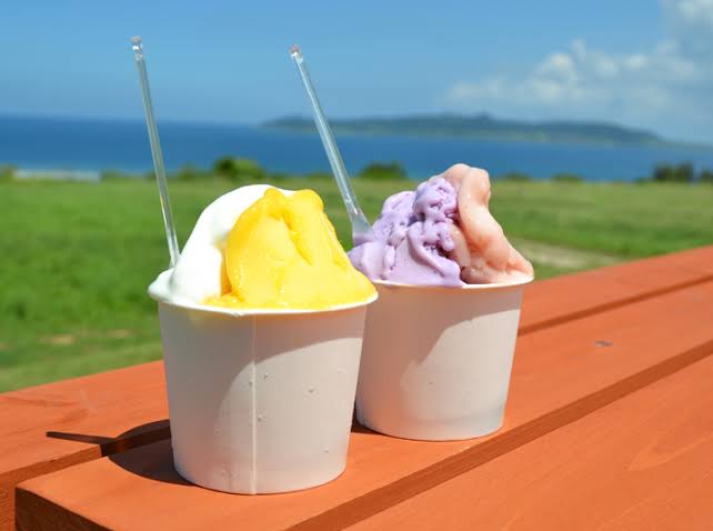 ryukyu_story's tweet image. 『石垣島 ミルミル本舗』
石垣島産、濃厚ミルクの絶品ジェラート🍧
牧場直送の新鮮なミルクと、南国フルーツをたっぷり使用🐮
石垣島で育った乳牛の搾りたて濃厚ミルクと、石垣島産の果物が織りなすハーモニー🎹
地元民も絶賛!石垣島旅行で絶対食べたい必須スイーツです☺️