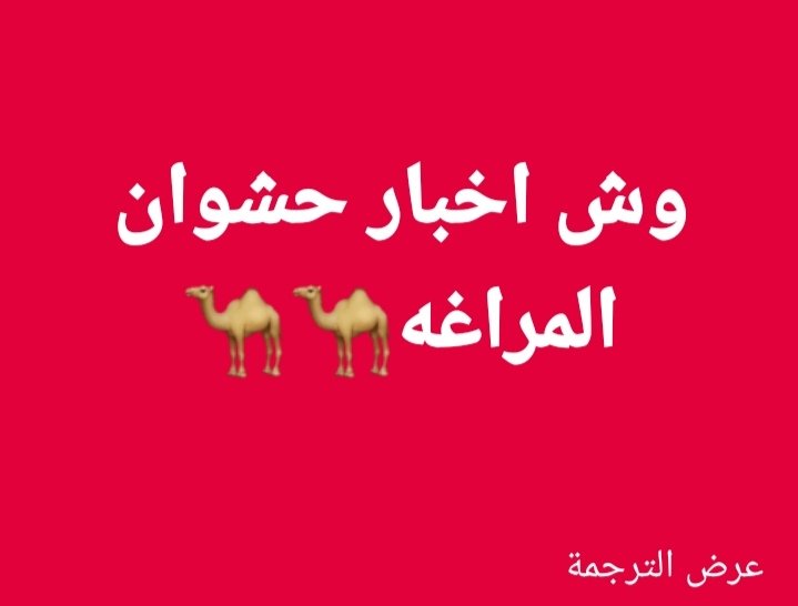 الهضبه
قالو دفعو المجموعه 5_2 مليون وخمسيه الف من أجل نجاح العصيان الي دعو له يوم أمس الاربعا  المهم رجال ستلمو الفلوس وبعدها قفلو  جولاتهم
وفشل العصيان