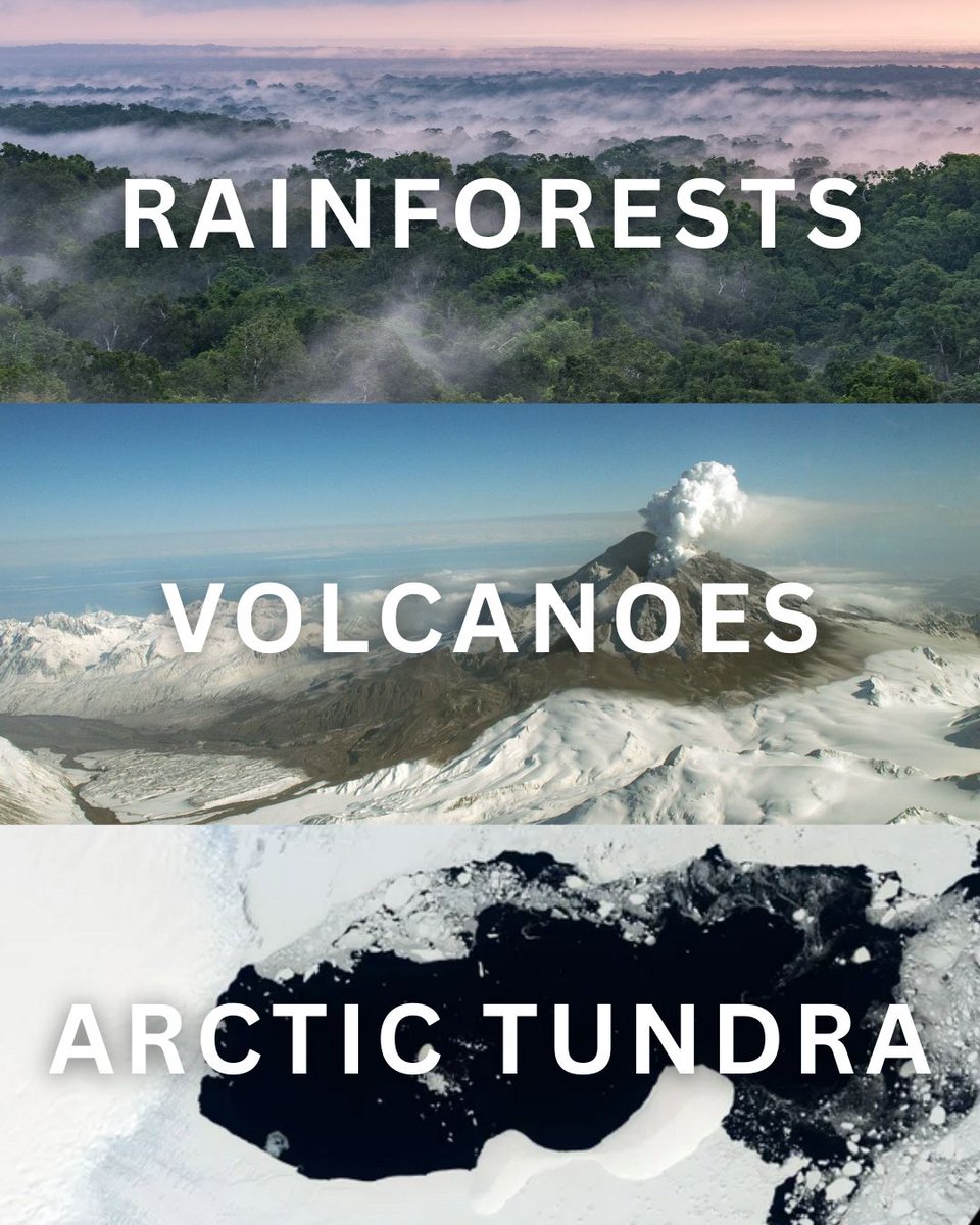 NASAJPL's tweet image. Rainforests. Volcanoes. Arctic tundra. 🌍
From wildfire damage and volcanic eruptions to forest regrowth, NISAR will reveal how our planet's surface is changing in even the smallest ways.
The Earth-observing mission is set to launch soon: nisar.jpl.nasa.gov