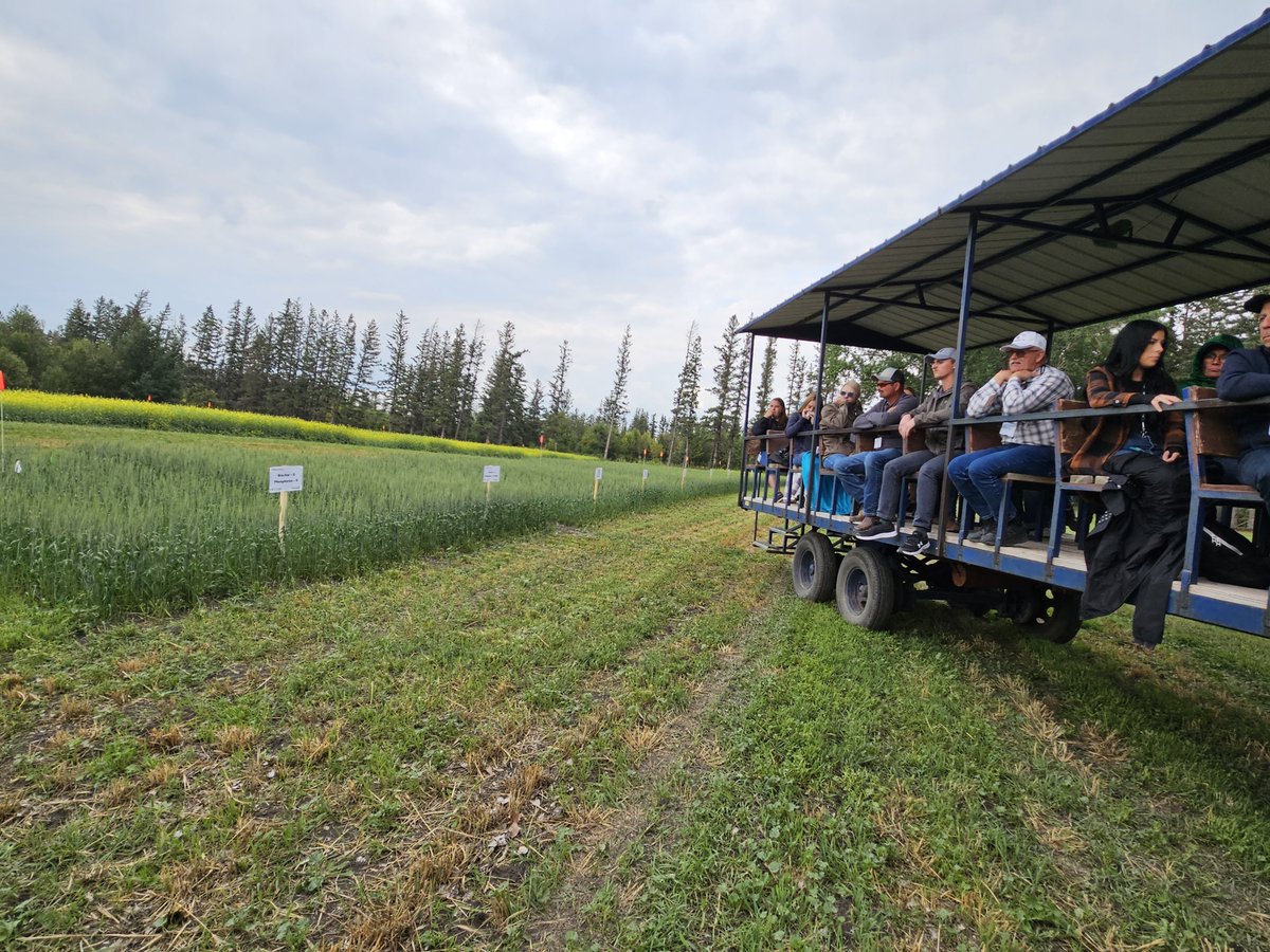 raju_aafc's tweet image. Great to join the 2025 Indian Head Crop Management Field Day! I shared insights on integrating fast-growing trees in agroforestry systems and using biochar to enhance soil health, nutrient cycling, and water retention. #Agroforestry #Biochar @AAFC_Canada @IHARF_SK @ICRAF