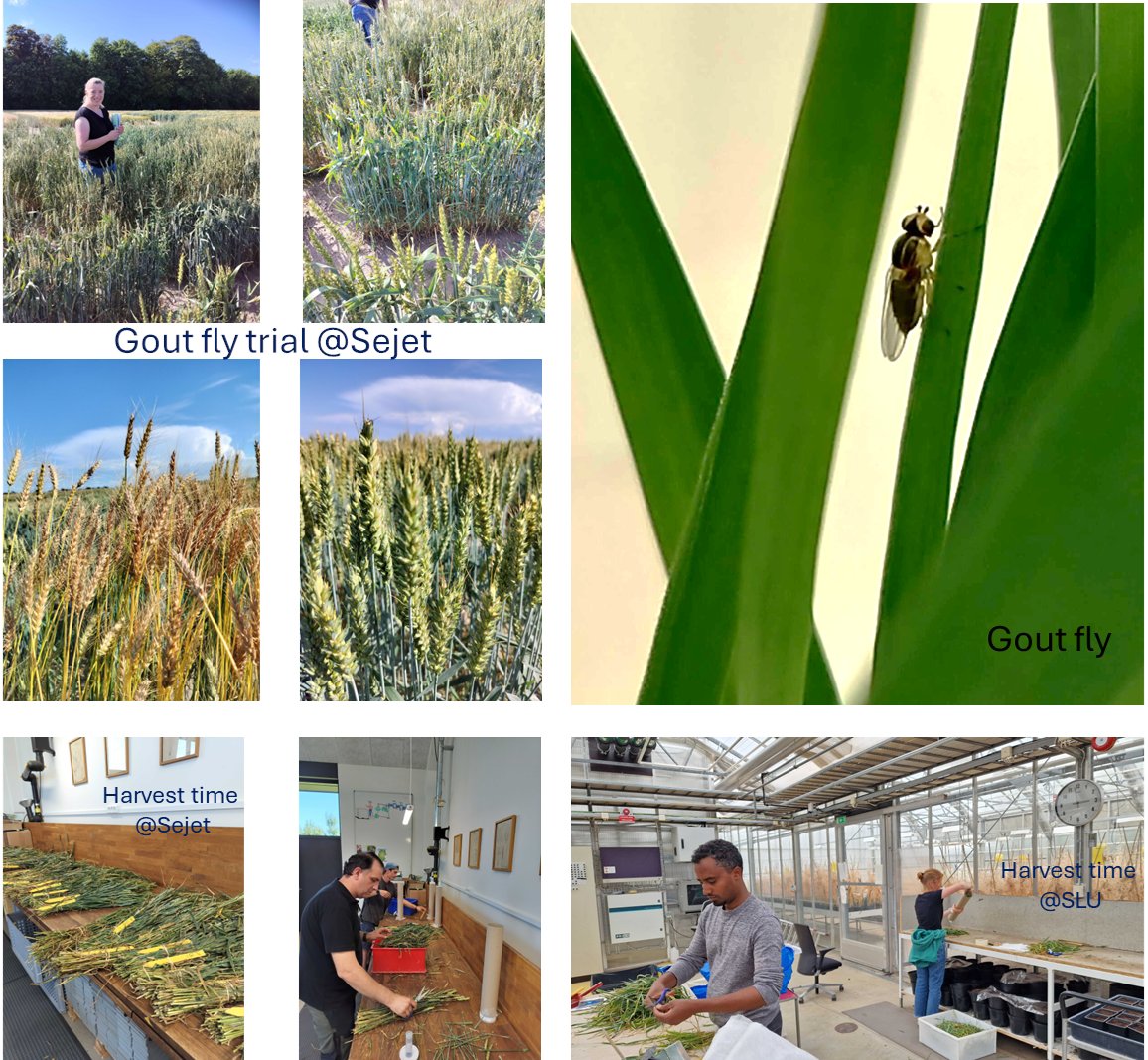 Therese Bengtsson tweet media