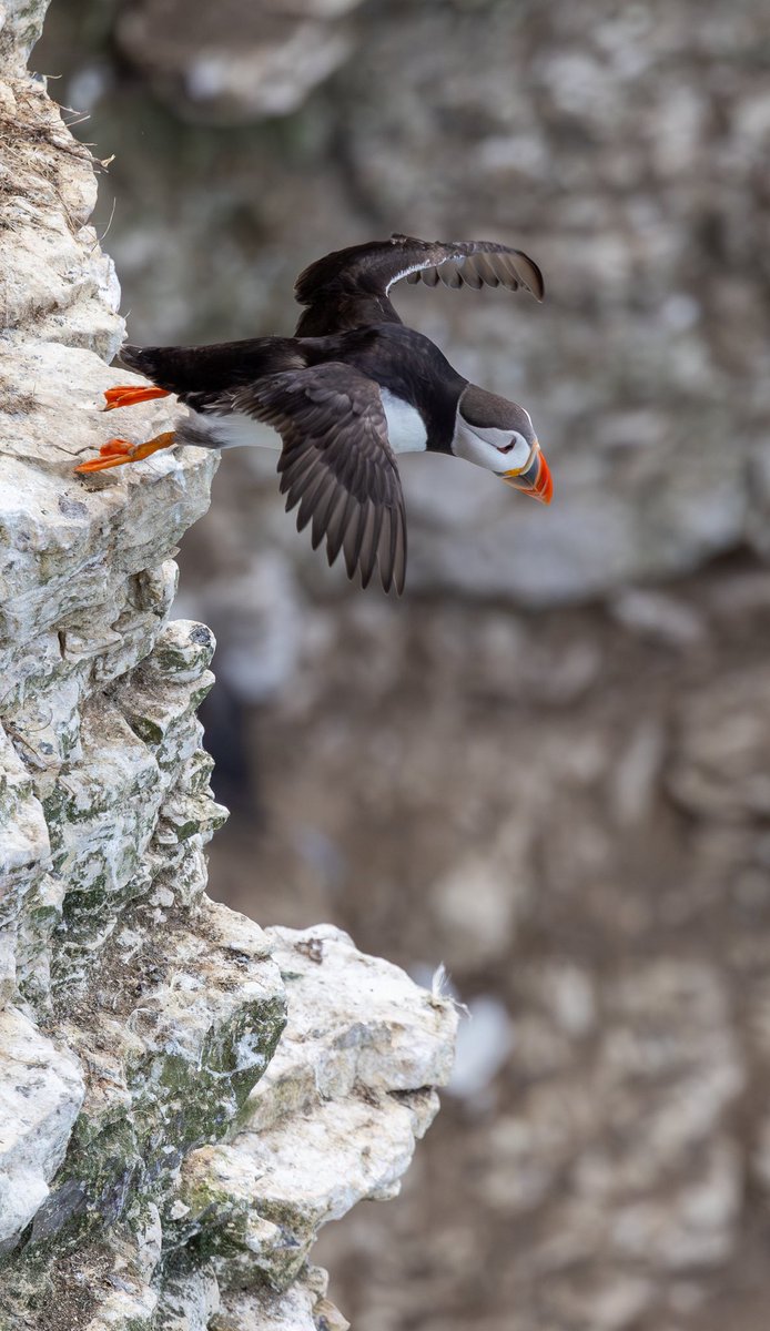 Huston, we have lift off. <a href="/VexHill/">HawkeyGirl</a> <a href="/VenablesJayne/">Jayne Venables</a>  @frostlynneLynn <a href="/julescporter/">Millartron</a> <a href="/5Naureen/">Naureen Khalid</a> <a href="/serudd1960/">Susan Rudd</a> <a href="/ShiresGirl/">Karen Weston 💙</a> <a href="/stephen_spc/">SPC</a>