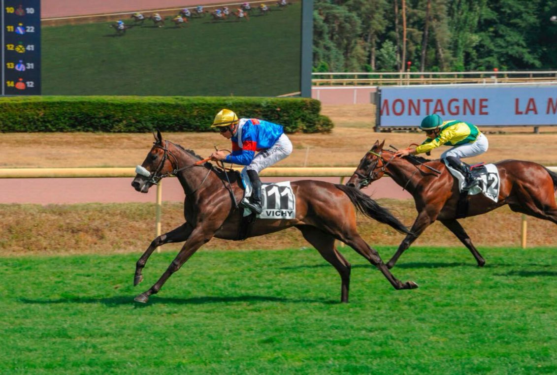 Ander Suescun Ochandorena tweet media