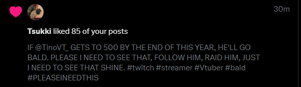 white van tweet media