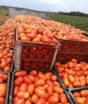 A bountiful harvest is a reason to celebrate!