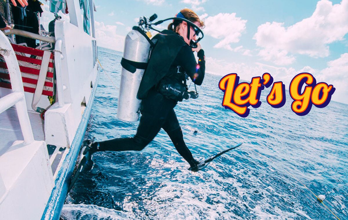 ⏳ Final hours! Up to 50% OFF Turks &amp; Caicos + 30% OFF Palau trips in our CRAZY. INSANE. SALE! Ends tonight—don’t miss out.
1.800.322.3577
info@explorerventures.com
 explorerventures.com/discounts-and-…
 #CRAZYINSANESALE #DiveDeals #ExplorerVenturesFleet #LiveaboardLife #ScubaAdventure