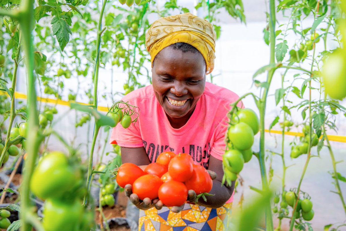 Gratitude turns what we have into enough. Celebrate your harvest and the joy it brings. 

#FeedTheCommunity