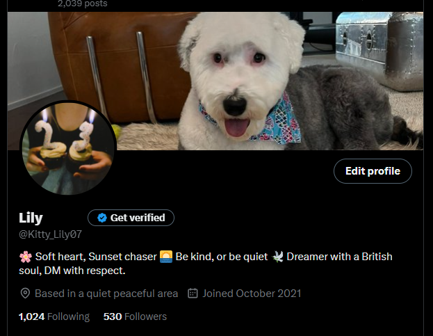 Lily (@kitty_lily07) on Twitter photo Today my target is 700 followers,  I'm 170 followers short. Follow me and I’ll follow back
Let's connect 🫰 Today my target is 700 followers,  I'm 170 followers short. Follow me and I’ll follow back
Let's connect 🫰