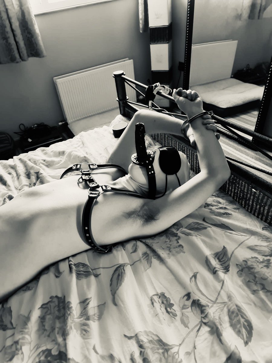 Ready for your pleasure