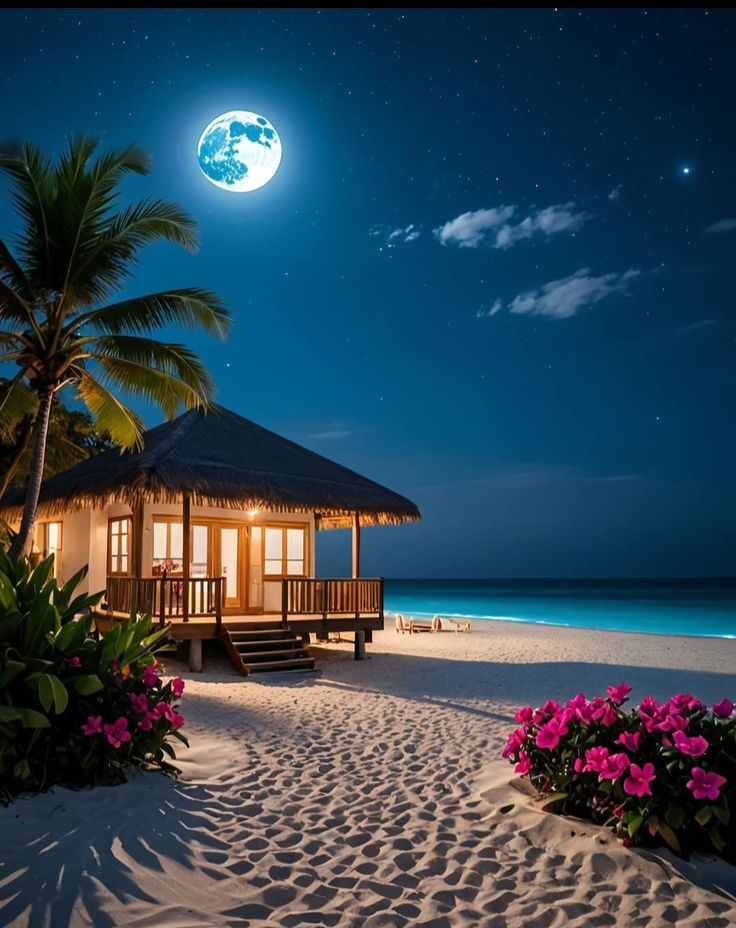 Tamara (@tomasem1) on Twitter photo Good night๐  sweet dreams๐ฆ my lovely friends.๐ I wish everyone calm and peaceful dreams.๐โจ๐๐๐ Good night๐  sweet dreams๐ฆ my lovely friends.๐ I wish everyone calm and peaceful dreams.๐โจ๐๐๐