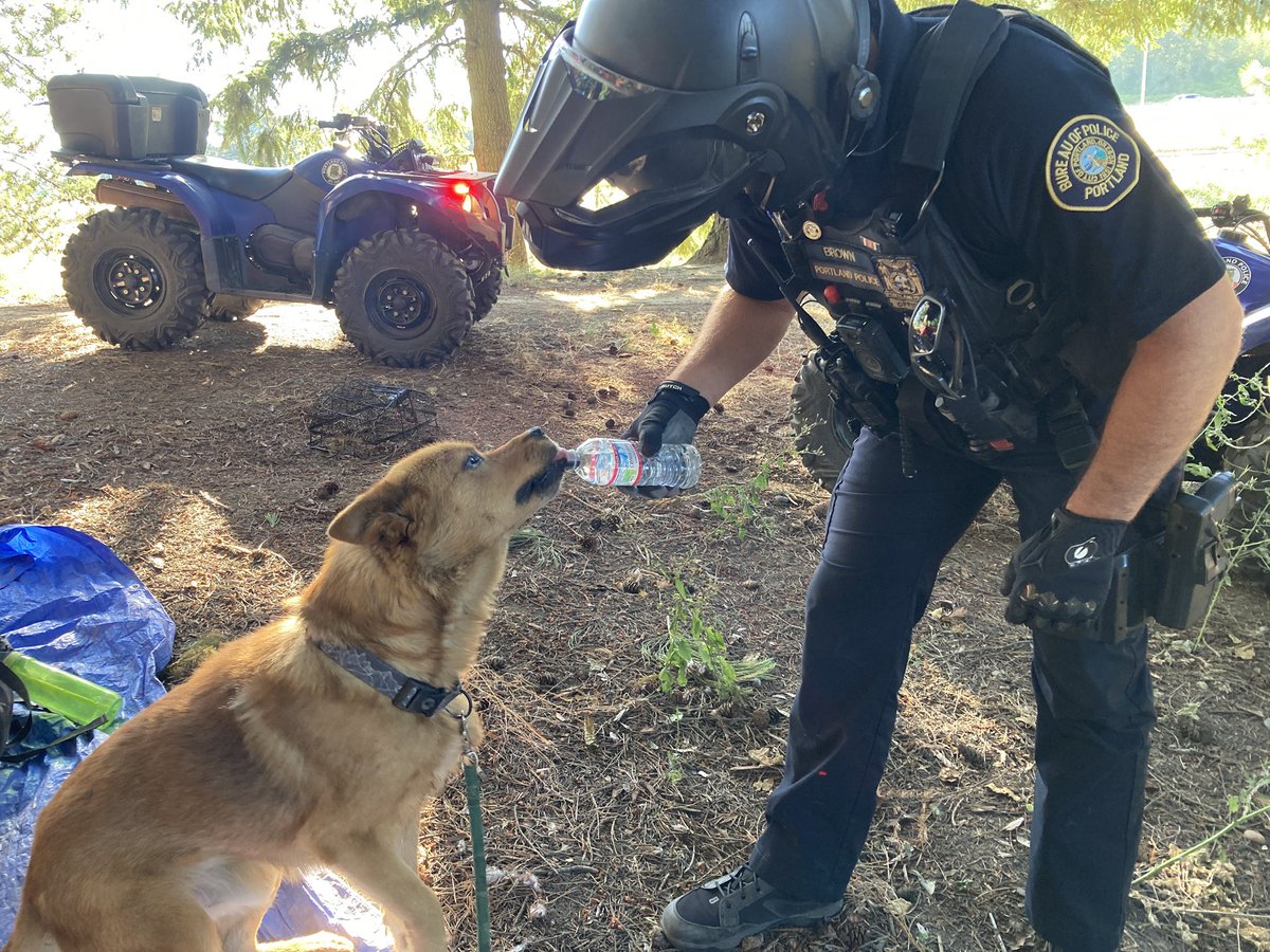 PPB East Precinct tweet media