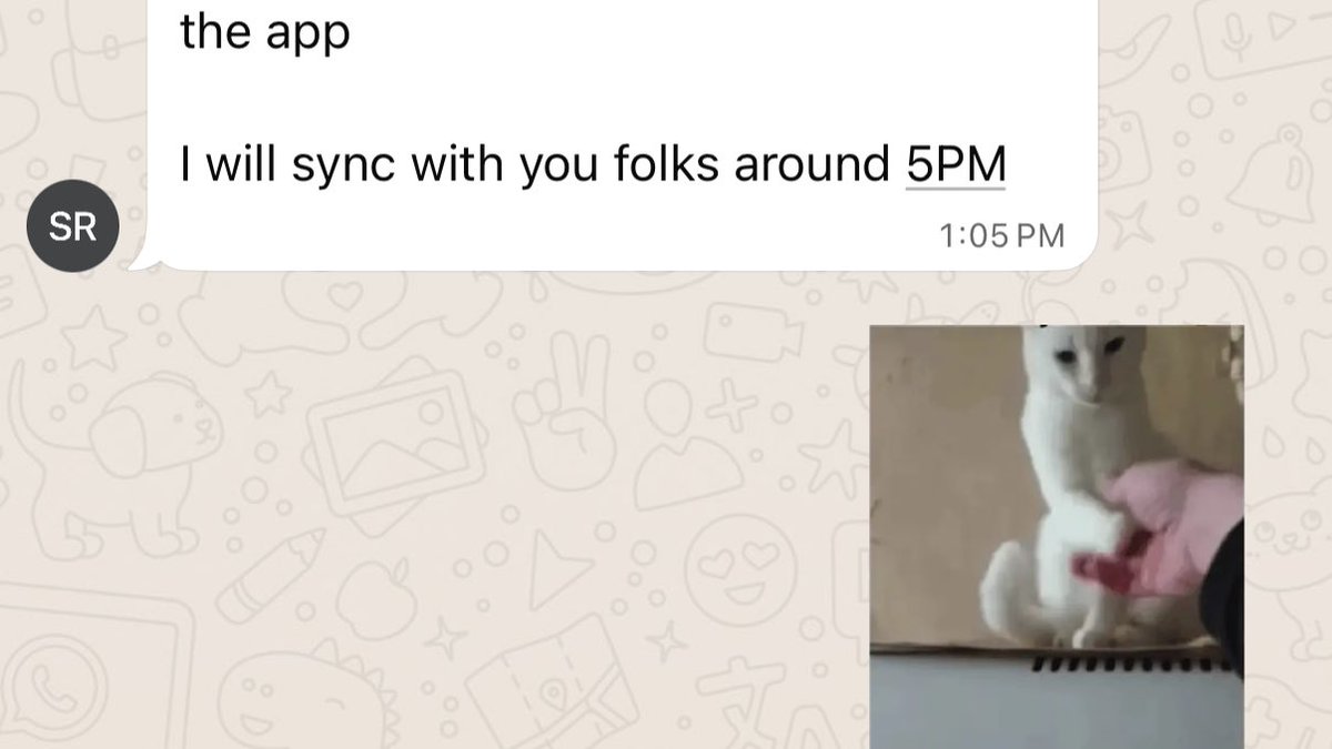 gulchandna's tweet image. replace me with AI but my manager will miss my cat gifs 🙂‍↕️