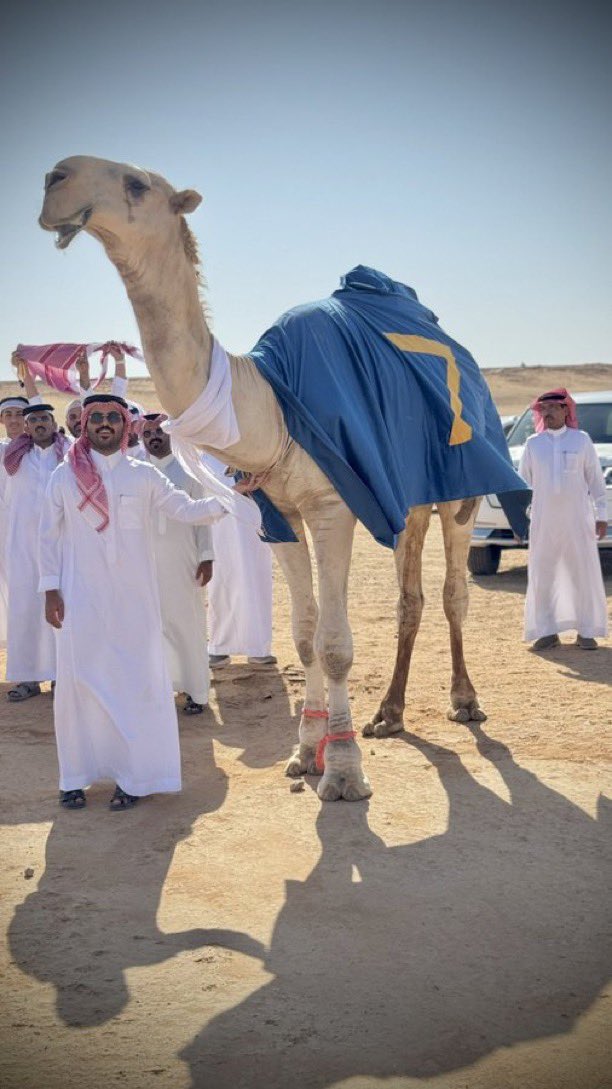 #الدون_شقح_النصر

كفو 🔥

يارب توفيقك 🤲🏻

:

-

:

-

:

-

:

-

:

-

:

-

:

-

:

-

:

-

:

-

:

-

:

-

اللهم رب المستحيلات وصانع المعجزات 
ارزقني واسعدني بما يتمناه قلبي من حيث لا احتسب  ♥️🙏🏻