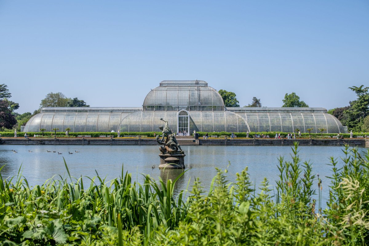 Kew Gardens’ iconic Palm House to shut for 5 years in £60m renovation 

southlondon.co.uk/news/kew-garde…