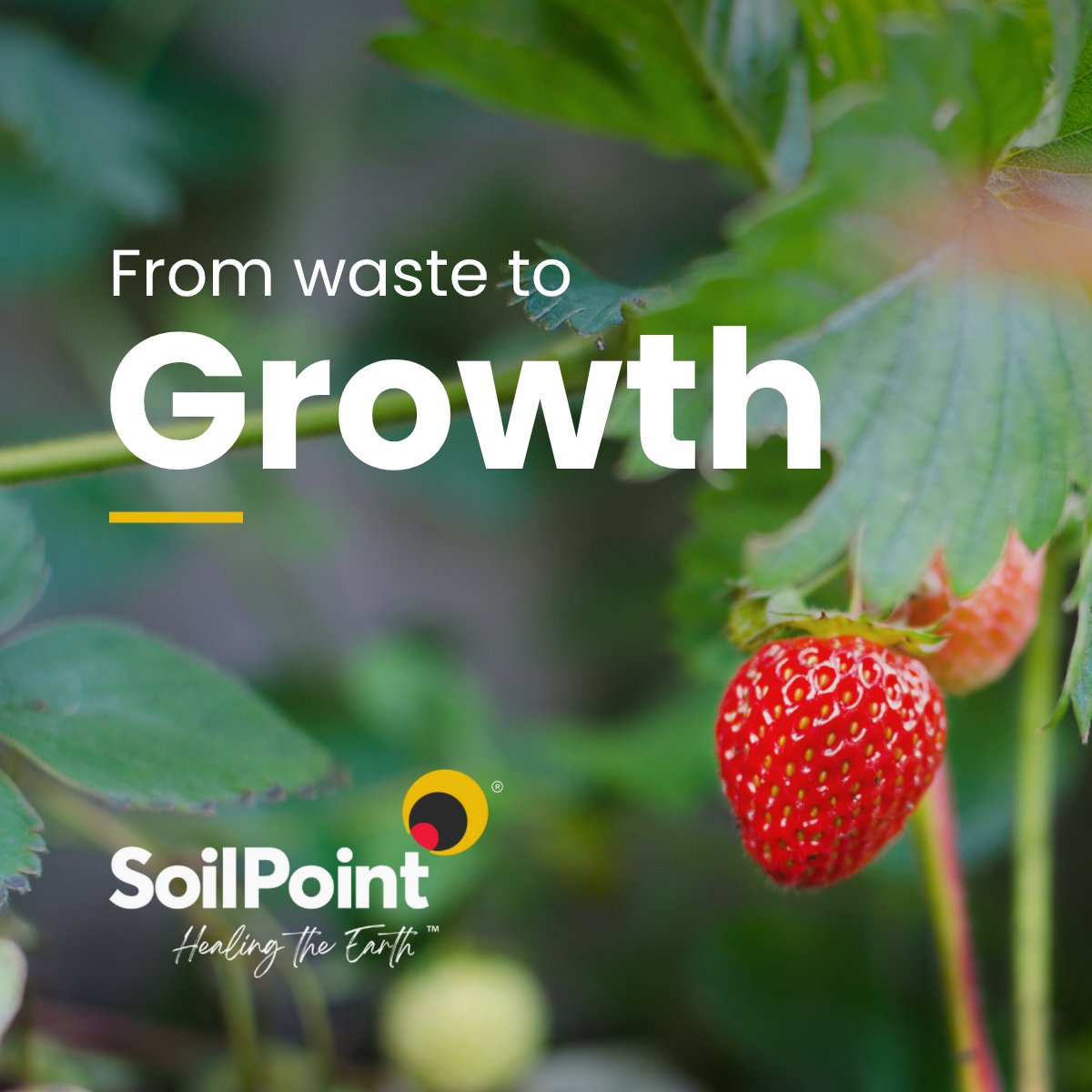 Instead of letting carbon pollute the air, we can put it back where it belongs - into the soil!🌍

SoilPoint’s humic-based products lock carbon into the ground, improving soil quality while reducing harmful emissions. This means healthier crops, cleaner air, and a food system