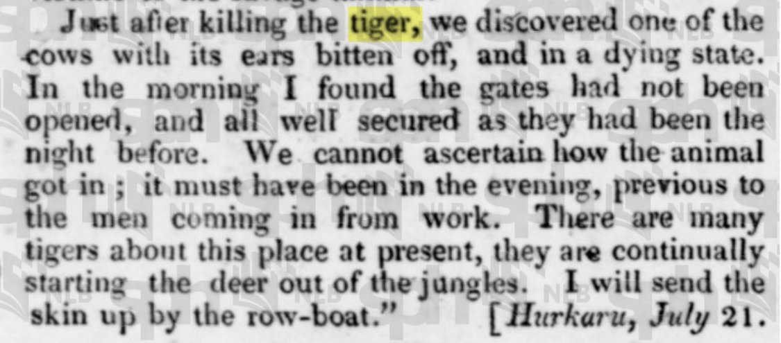 Today's #NewsToAmuse

From The Singapore Free Press and Mercantile Advertiser in 1836

#Tiger 🐅
Cow 🐄 
#Genealogy
#FamilyHistory
#FamilyTree
#Genealogist
#newspaper
#EastIndiaCompany
#HEIC
#BritishIndia
#Hoogley
