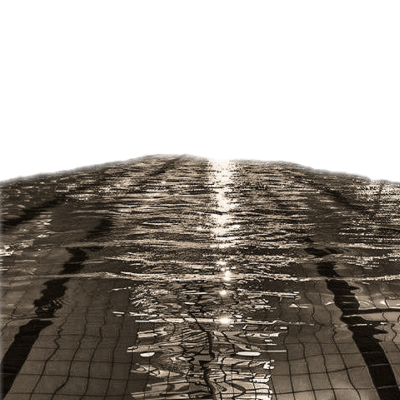 ᅟᅟ ᅟ ‍ᅟᅟ 𝓣𝑯𝑬 ᅟᅟ ᅟ ‍ᅟᅟ𝑺𝓦𝑨𝑵 . tweet media