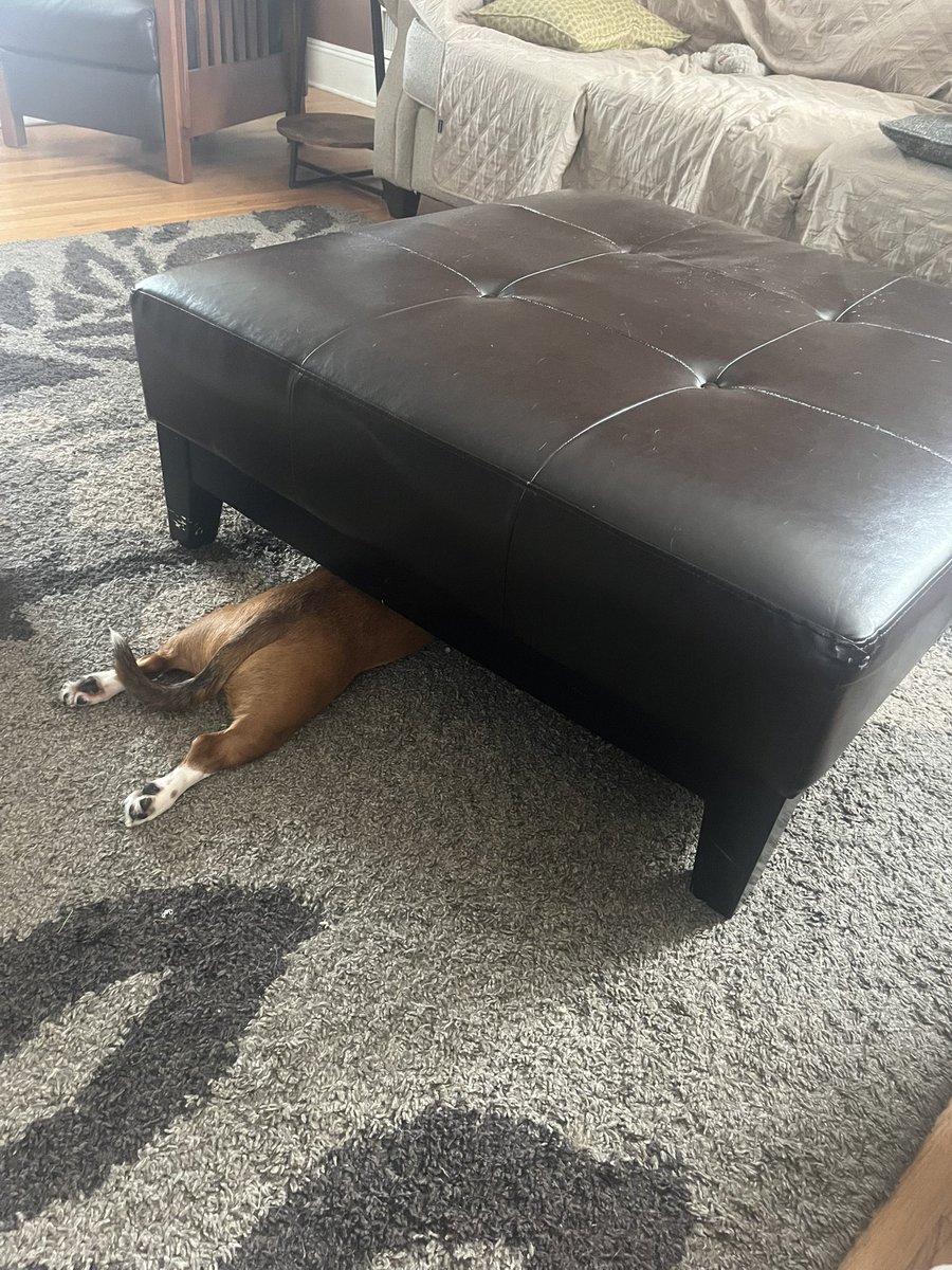 Little dumbass thinks he’s slick