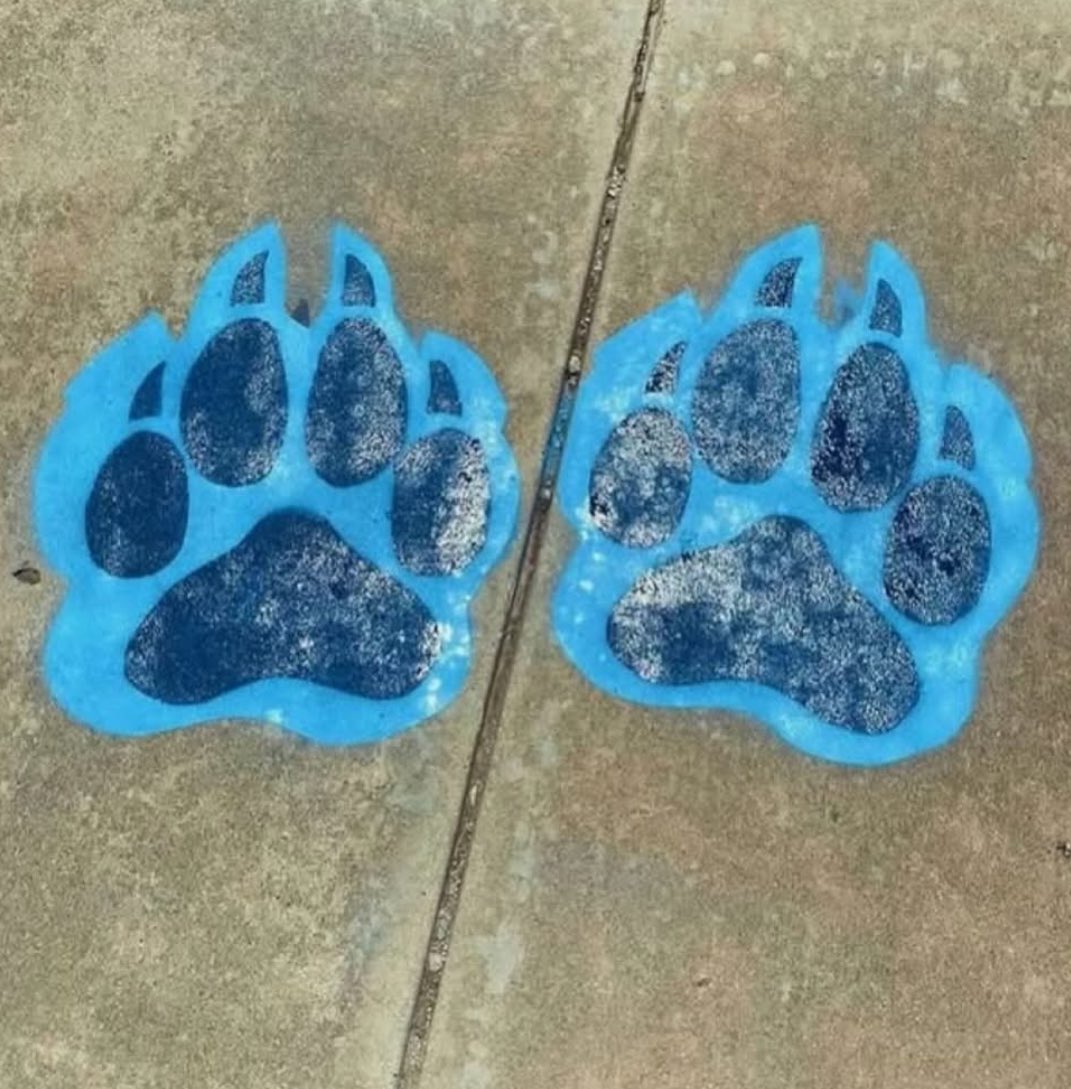 West Plains Athletic Booster (@wphsbooster) on Twitter photo Don’t forget to sign up to get your paws done by June 28th! 
docs.google.com/forms/d/e/1FAI… Don’t forget to sign up to get your paws done by June 28th! 
docs.google.com/forms/d/e/1FAI…