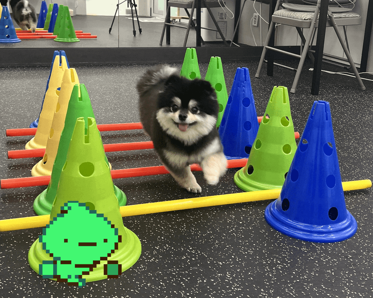 omw to canyon bridge to liquidate you