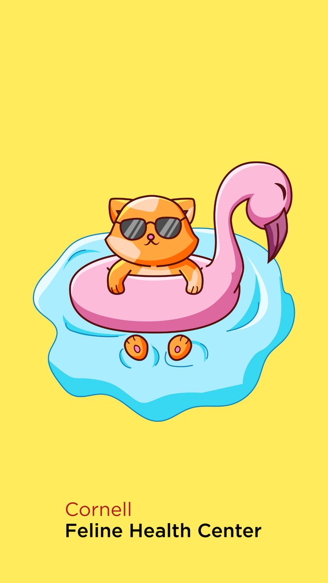 𝑾𝒂𝒍𝒍𝒑𝒂𝒑𝒆𝒓 𝑾𝒆𝒅𝒏𝒆𝒔𝒅𝒂𝒚
Celebrate with the Cornell Feline Health Center #WallpaperWednesday! Tap the photo below, then tap the three dots in the top corner of the photo to save the image to your phone. 📲 🐈😺