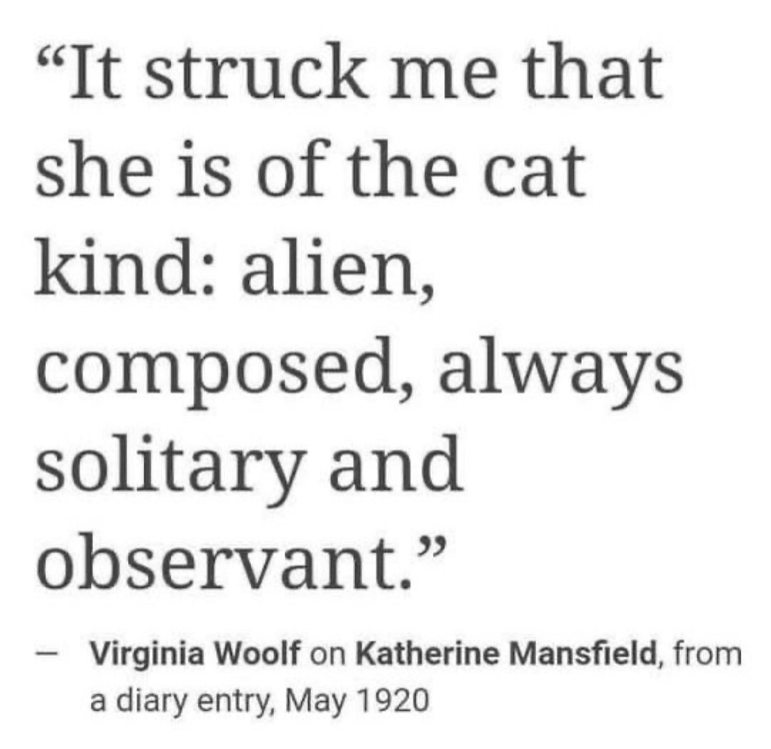 ✾ (@cosmicdualism) on Twitter photo 