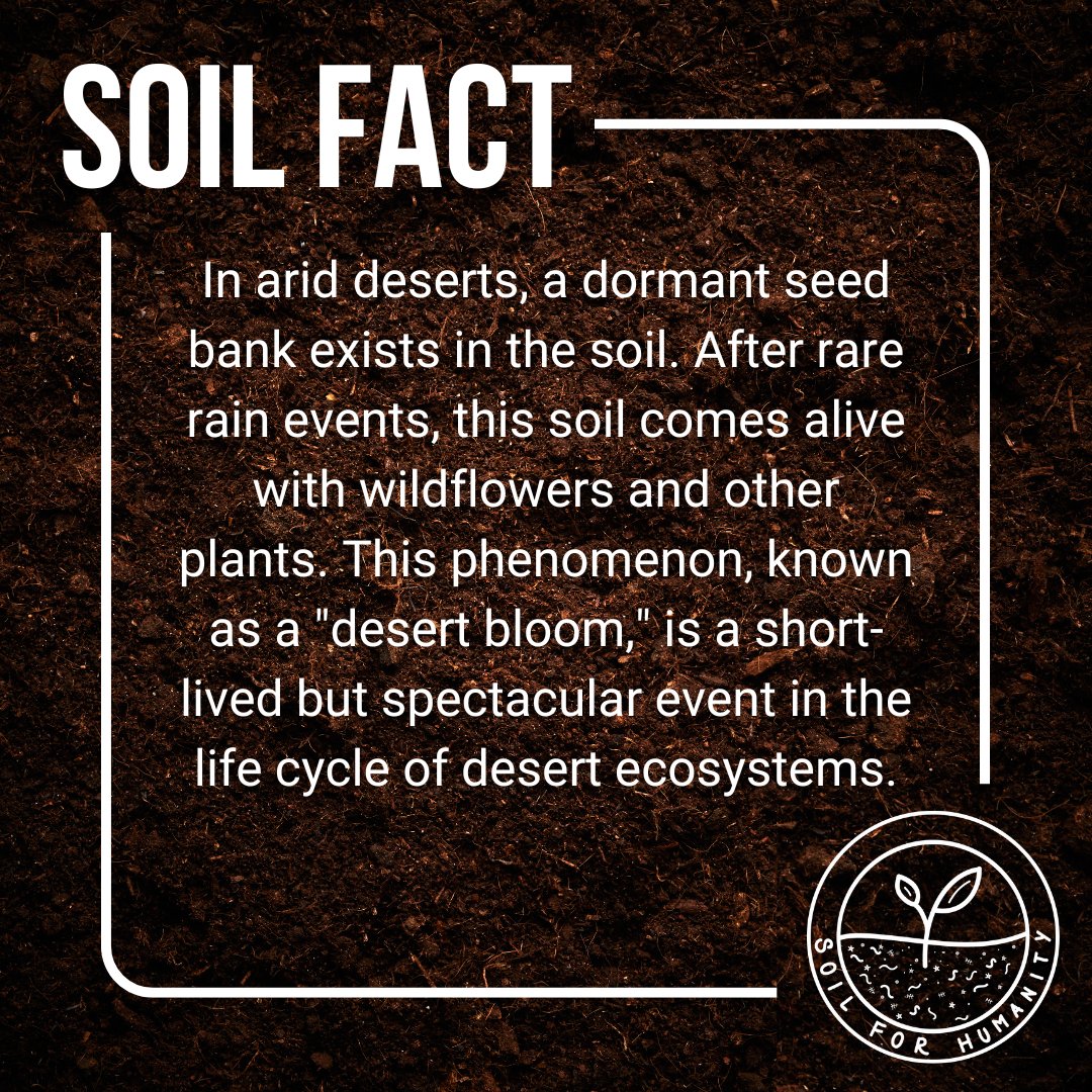 Soil for Humanity tweet media