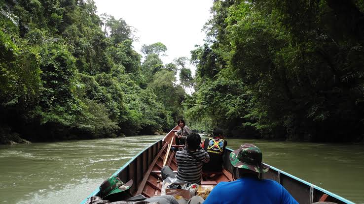 oodileSOL's tweet photo. 🌿 We’ve walked where few have.
Through the thick green lungs of Borneo, we made a journey — not just across land, but into the soul of one of Earth’s last true wildernesses. 🌏💚

We heard the calls of wild hornbills echo through the canopy.
We watched orangutans swing freely in ancient trees.
We felt the heartbeat of a rainforest 140 million years old.

But we also saw the silence.
The fading trees.
The animals waiting — not to be found, but to be remembered.

This journey changed us.
Now, we carry their stories. Their hopes. Their fight.

From the jungle to the world — we speak for them now.

#BorneoWildlife #RainforestJourney #FromJungleToHeart #ProtectNature #GuardiansOfTheWild