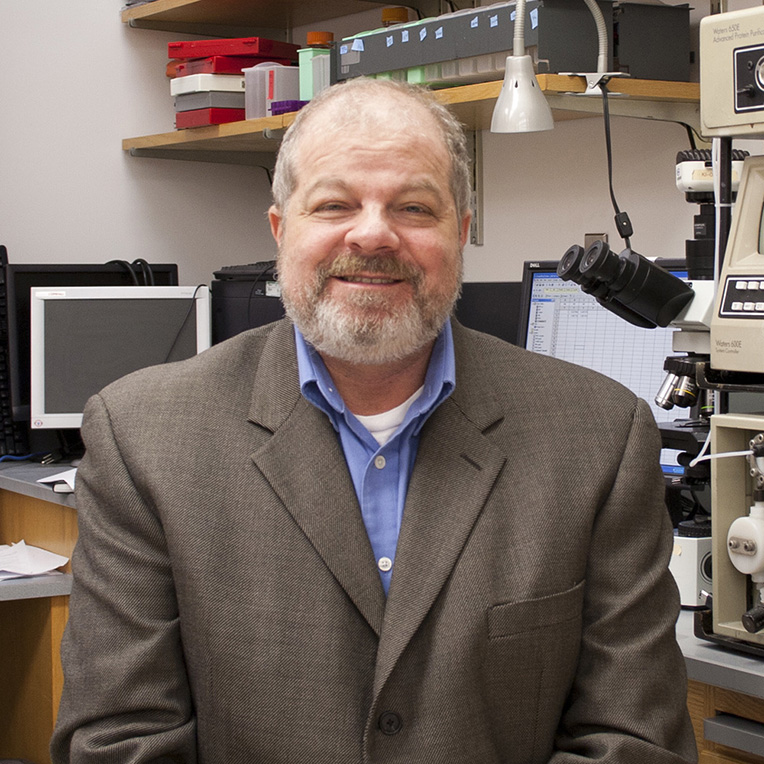 SableSysInt's tweet image. Honoring the late Prof. David Wasserman, pioneer of #metabolism research. “We thank David for his significant contributions as a colleague, trusted advisor, and friend,” said John Lighton, Sable Systems Founder and President.
ow.ly/EXIz50Wq5cM
#Insulin #Exercise #Diabetes