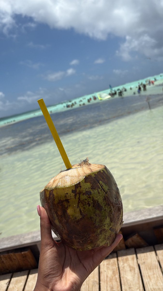 adrianakardash3's tweet image. Bonaire! 🇧🇶