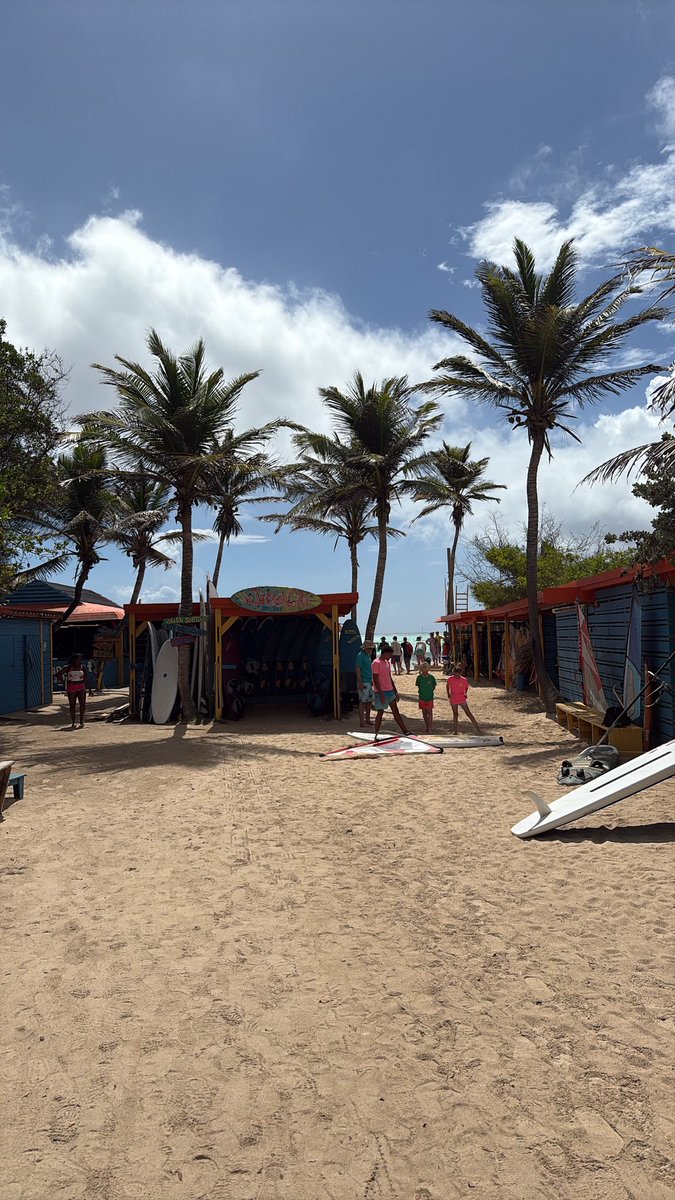 adrianakardash3's tweet image. Bonaire! 🇧🇶