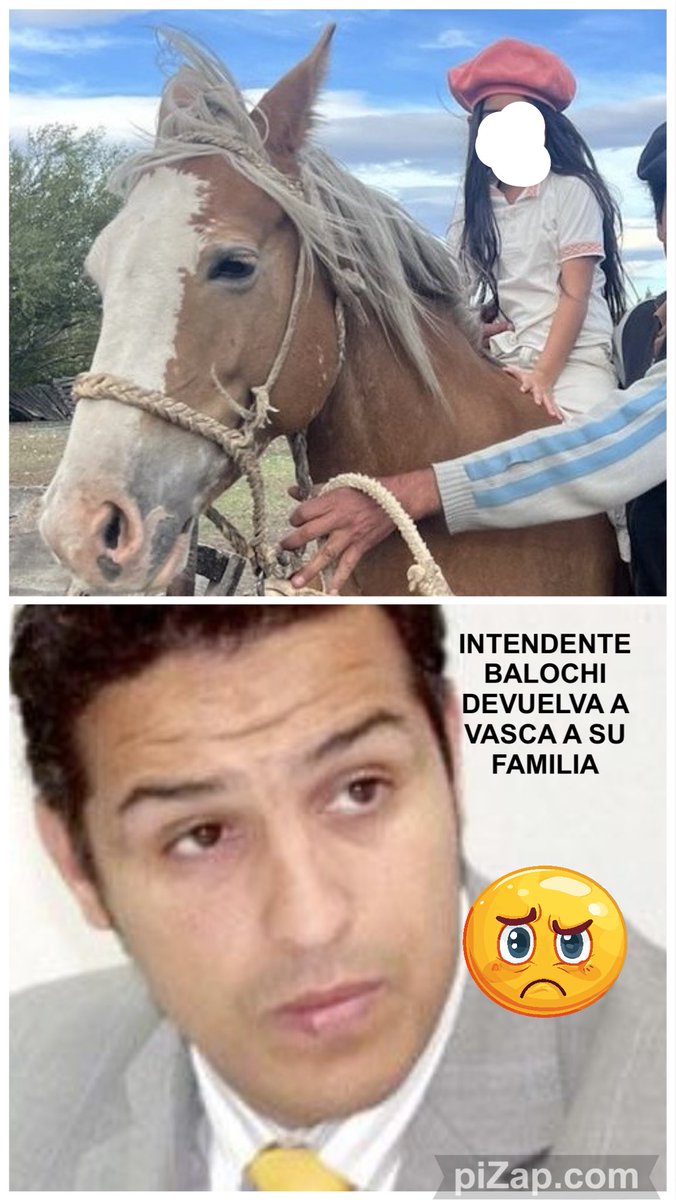 Proyecto Galgo Arg 🐬Ⓥ (@proyectogalgoar) on Twitter photo #Sarmiento #Chubut
Sr Intendente <a href="/BalochiSeba/">Sebastián A. Balochi</a> devuelva a la Vasca a su familia!🙏
La secuestraron desde el Municipio el 10 de Julio . La van a rematar en unos días. La familia fue al juez , a la policía y al municipio y NADIE los ayuda!! <a href="/ElChubut/">Diario EL CHUBUT</a> <a href="/fmimpacto1003/">FM IMPACTO EL MAITEN</a> <a href="/elpatagonico/">El Patagónico</a> #Sarmiento #Chubut
Sr Intendente <a href="/BalochiSeba/">Sebastián A. Balochi</a> devuelva a la Vasca a su familia!🙏
La secuestraron desde el Municipio el 10 de Julio . La van a rematar en unos días. La familia fue al juez , a la policía y al municipio y NADIE los ayuda!! <a href="/ElChubut/">Diario EL CHUBUT</a> <a href="/fmimpacto1003/">FM IMPACTO EL MAITEN</a> <a href="/elpatagonico/">El Patagónico</a>