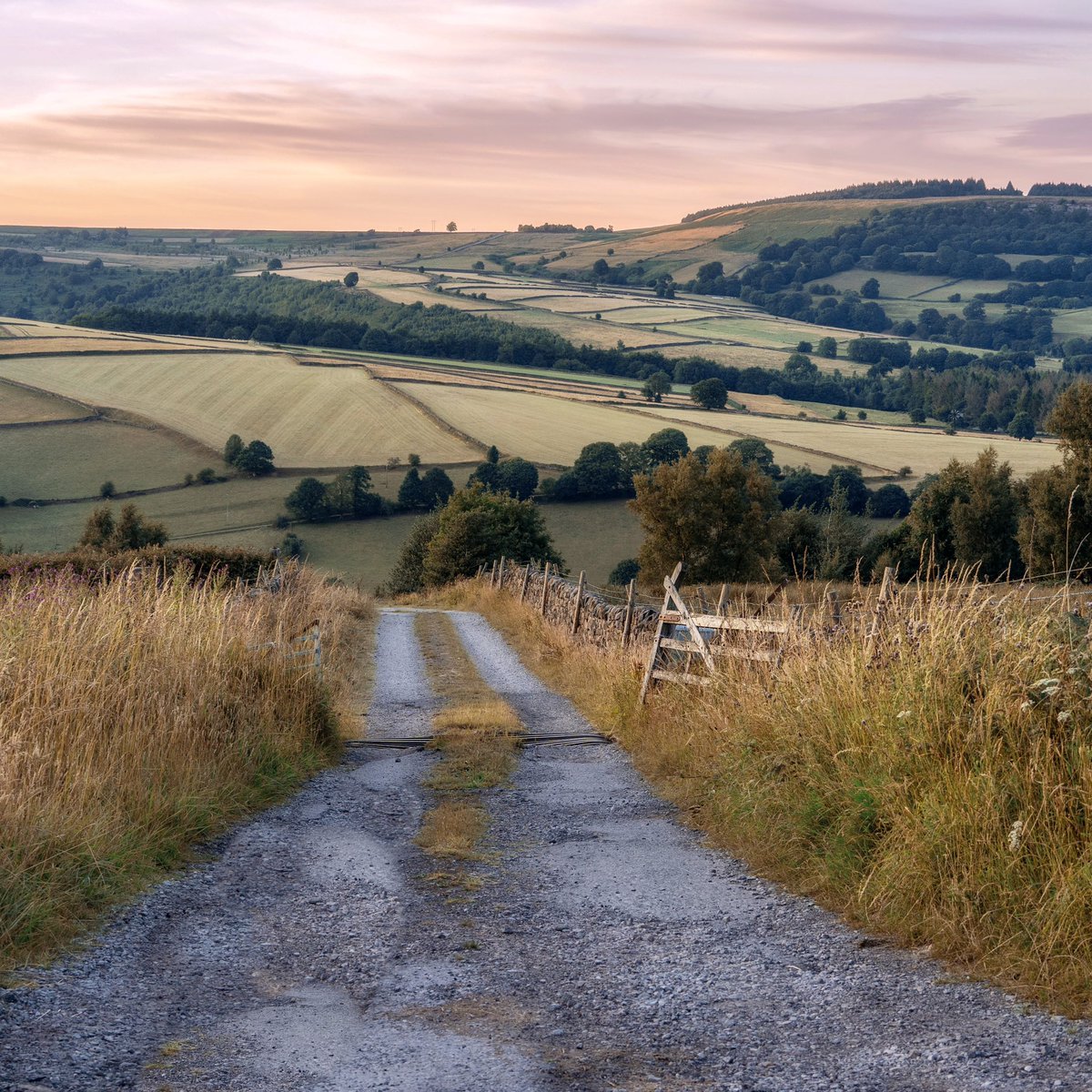 peaklass1's tweet image. Amidst the weirdness in your timeline, here’s a little calm from a quiet lane as the day draws to a close. Your legs might be weary from your journey but your ears are full of the skylarks’ song and the fields beckon you on, marked with their ancient boundaries and dotted with…