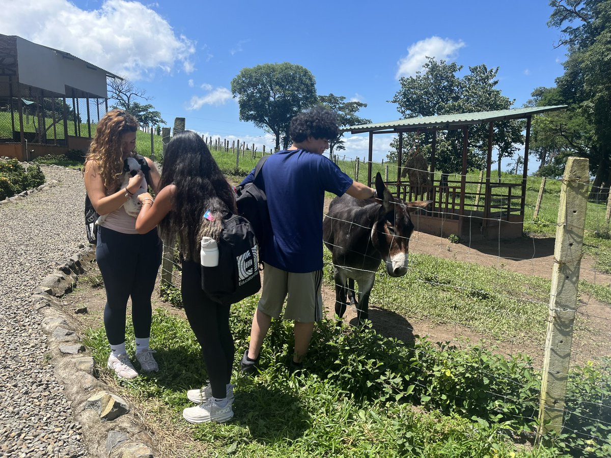 Natacha Fullilove tweet media