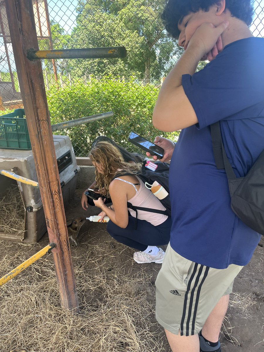 Natacha Fullilove tweet media