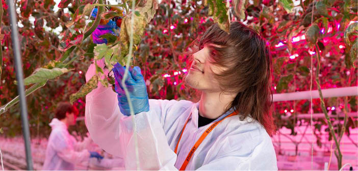 ACTHortNews's tweet image. Centre of excellence celebrates first year
Read more via #HortNews >> hortnews.com/articles/horti…
@Hadlow_College @thanetearth